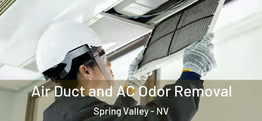 Air Duct and AC Odor Removal Spring Valley - NV