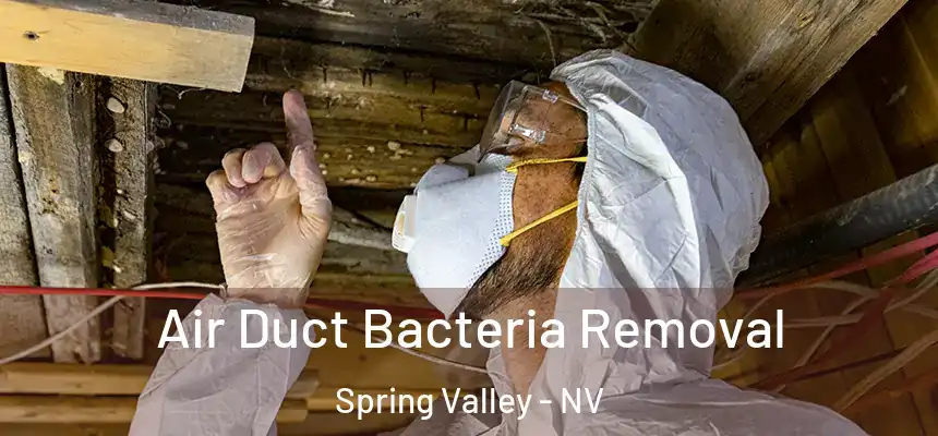 Air Duct Bacteria Removal Spring Valley - NV