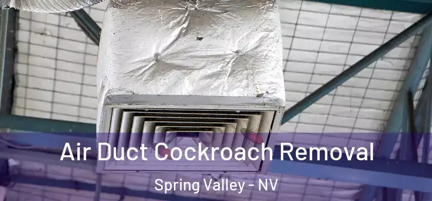 Air Duct Cockroach Removal Spring Valley - NV
