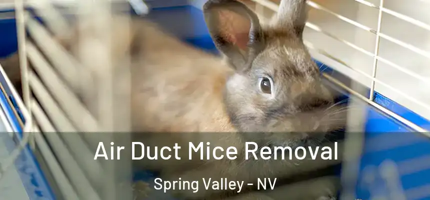 Air Duct Mice Removal Spring Valley - NV