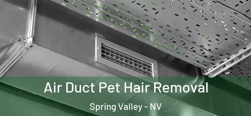 Air Duct Pet Hair Removal Spring Valley - NV