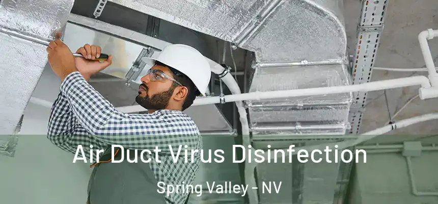 Air Duct Virus Disinfection Spring Valley - NV