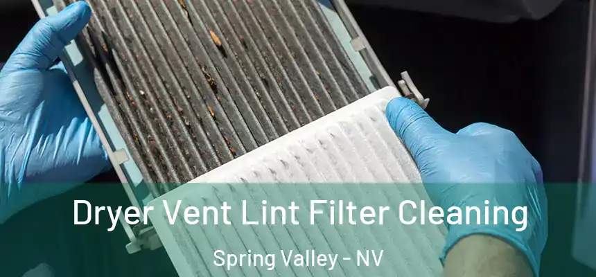 Dryer Vent Lint Filter Cleaning Spring Valley - NV