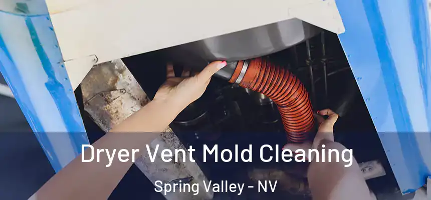 Dryer Vent Mold Cleaning Spring Valley - NV