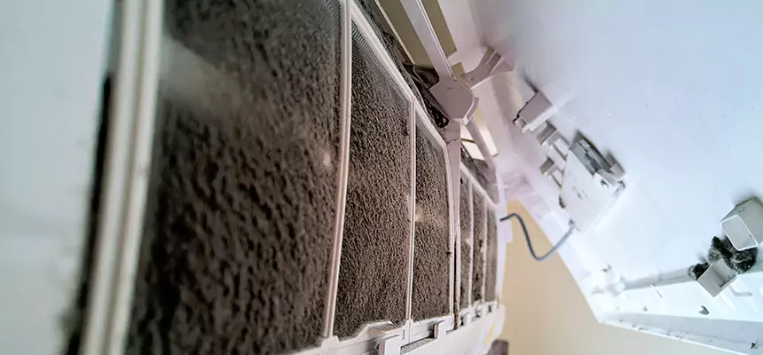 Preventive Air Duct Bacteria Removal in Spring Valley