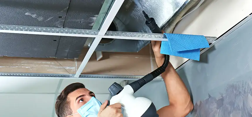Our Air Duct Rodent Removal Services in Spring Valley, NV