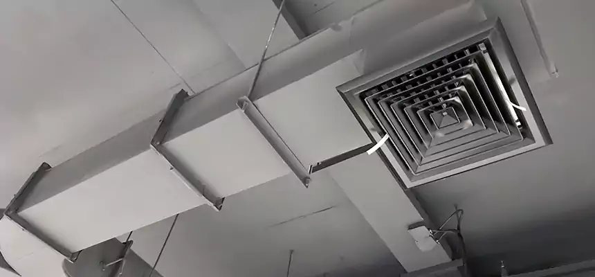 Restorative Allergy Relief Vent Cleaning – Coil, Blower & Housing Detail in Spring Valley