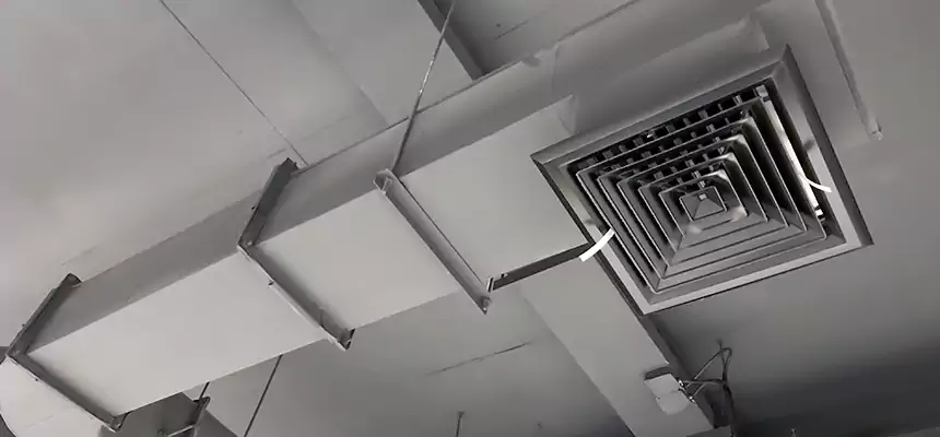 Our Pest Removal From Ducts Services in Spring Valley, NV