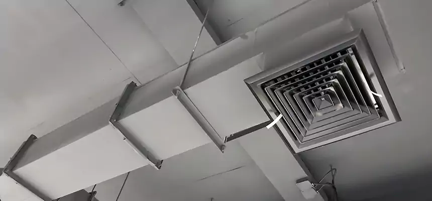 Our Rodent Droppings In Vents Services in Spring Valley, NV