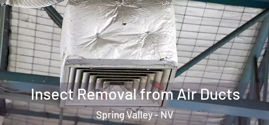 Insect Removal from Air Ducts Spring Valley - NV