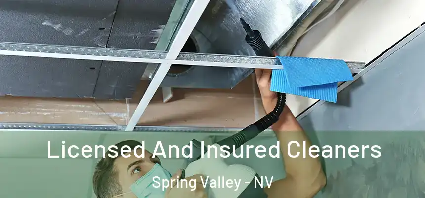 Licensed And Insured Cleaners Spring Valley - NV