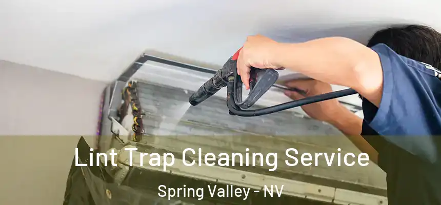 Lint Trap Cleaning Service Spring Valley - NV