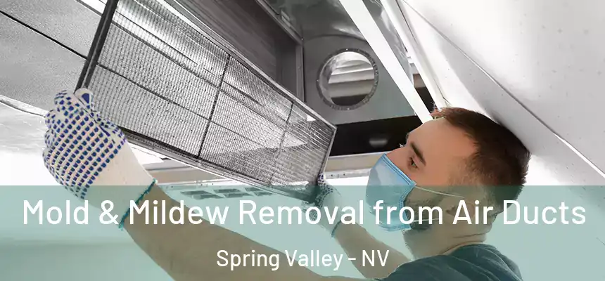 Mold & Mildew Removal from Air Ducts Spring Valley - NV