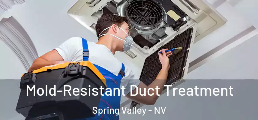  Mold-Resistant Duct Treatment Spring Valley - NV