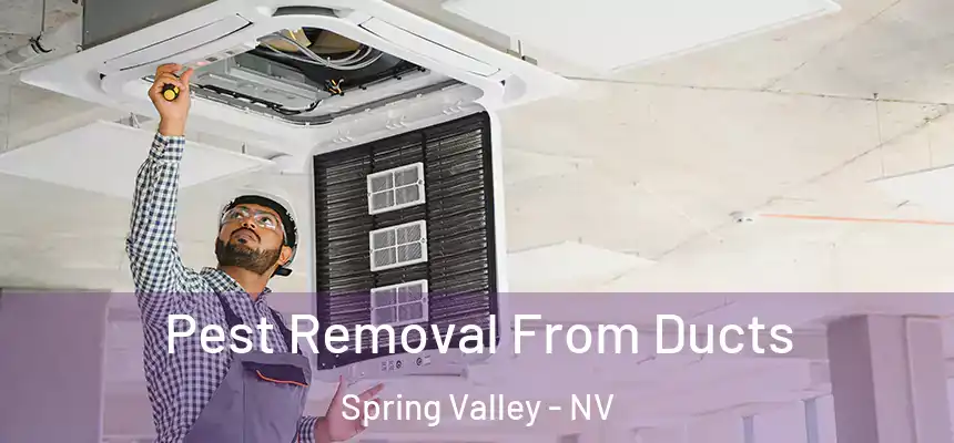 Pest Removal From Ducts Spring Valley - NV