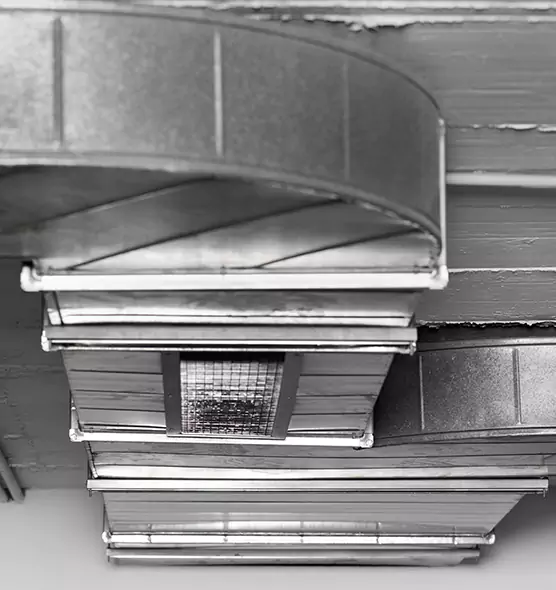 Professional Air Duct Pest Removal in Spring Valley, NV