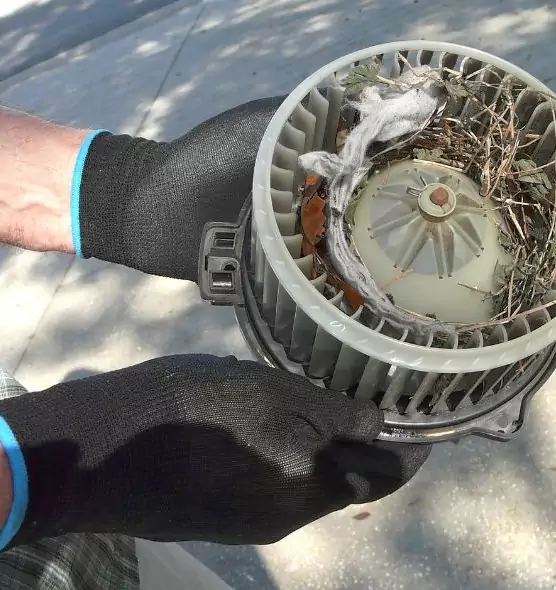 About Air Duct Rat Removal in Spring Valley, NV