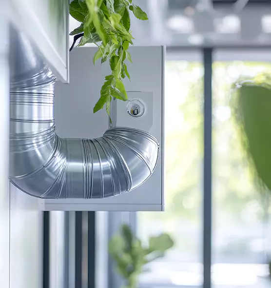 Professional Eco-Safe Dryer Vent Cleaning in Spring Valley, NV