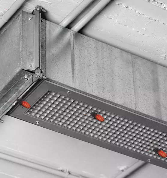 Affordable Insect Removal from Air Ducts in Spring Valley, NV