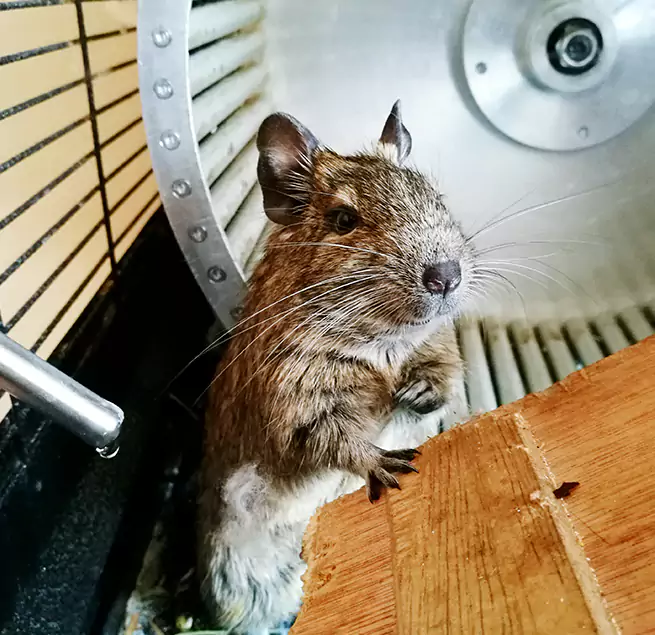 Why Homeowners & Businesses Trust Us Spring Valley, NV?