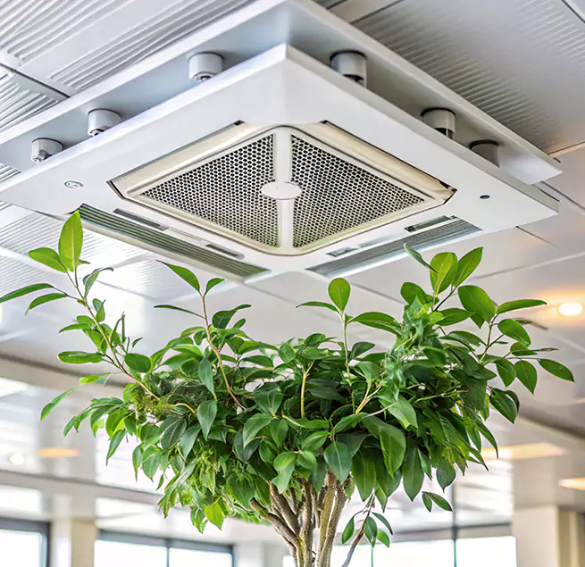 Why Homeowners & Businesses Trust Us in Spring Valley, NV?