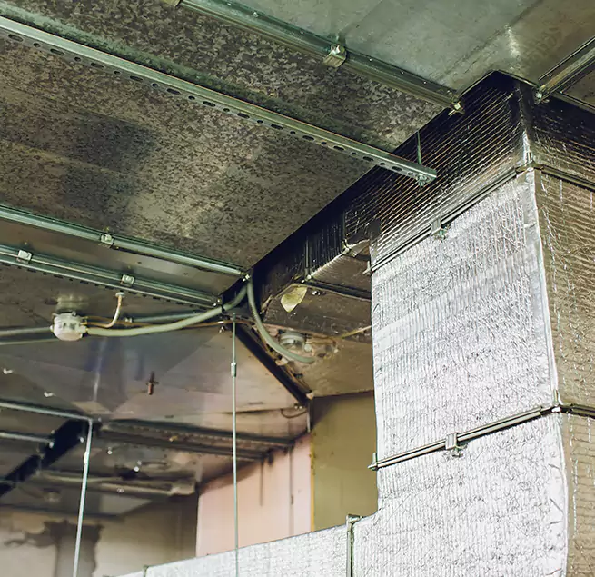 Why Homeowners & Businesses Trust Us in Spring Valley, NV?